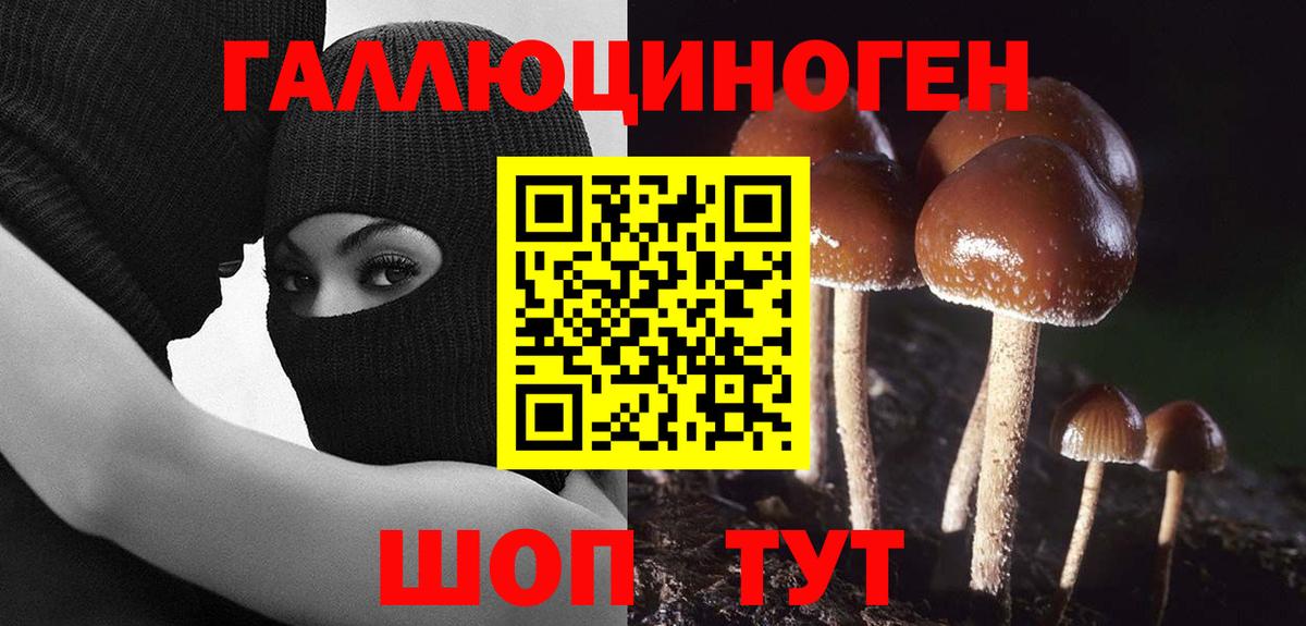 Псилоцибиновые грибы GOLDEN TEACHER Набережные Челны